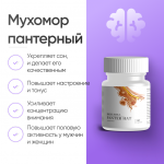 Мухомор пантерный (Amanita Pantherina) 60 капсул для стимуляции обмена веществ фото 1 уменьшенное