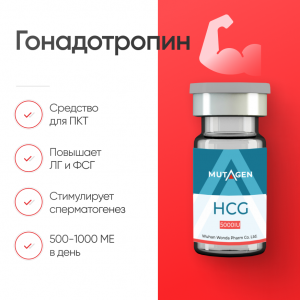 Гонадотропин 5000 ед фото