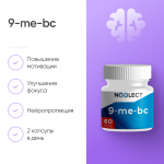 9-me-bc фото 1 уменьшенное