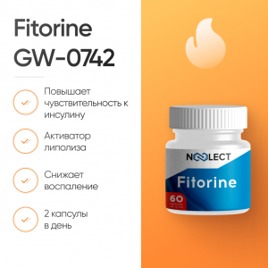 Fitorine GW-0742 60 капсул фото